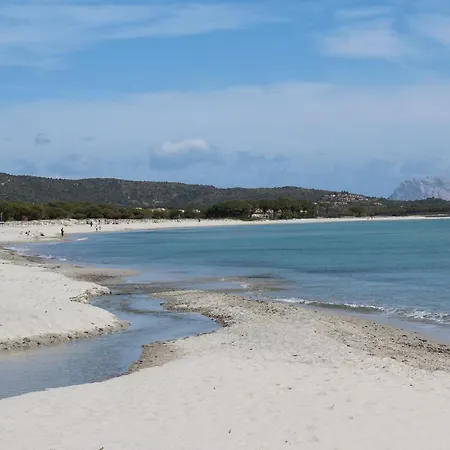 Tatil Evi Il Maestrale